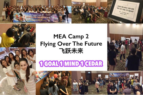 	MEA Live Camp 2 2017