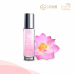 Energy Bloom * Pink (40ml/ 1.35oz) Cedar Wellness
